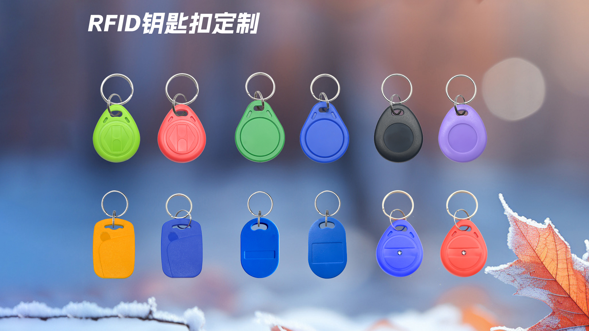 微信圖片_20251021151059_624_127